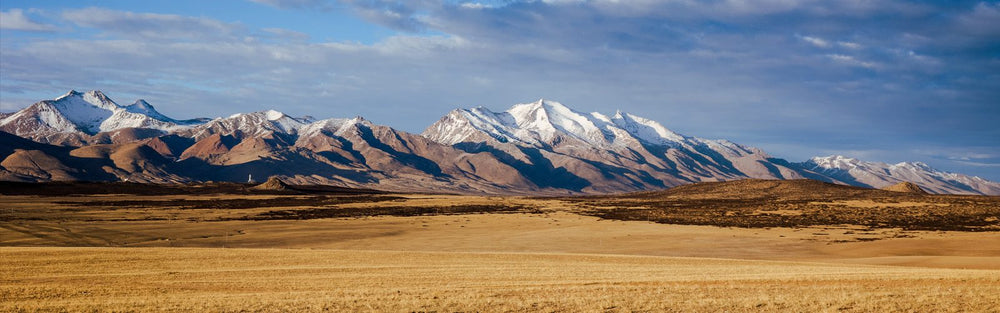From the Tibetan Plateau.